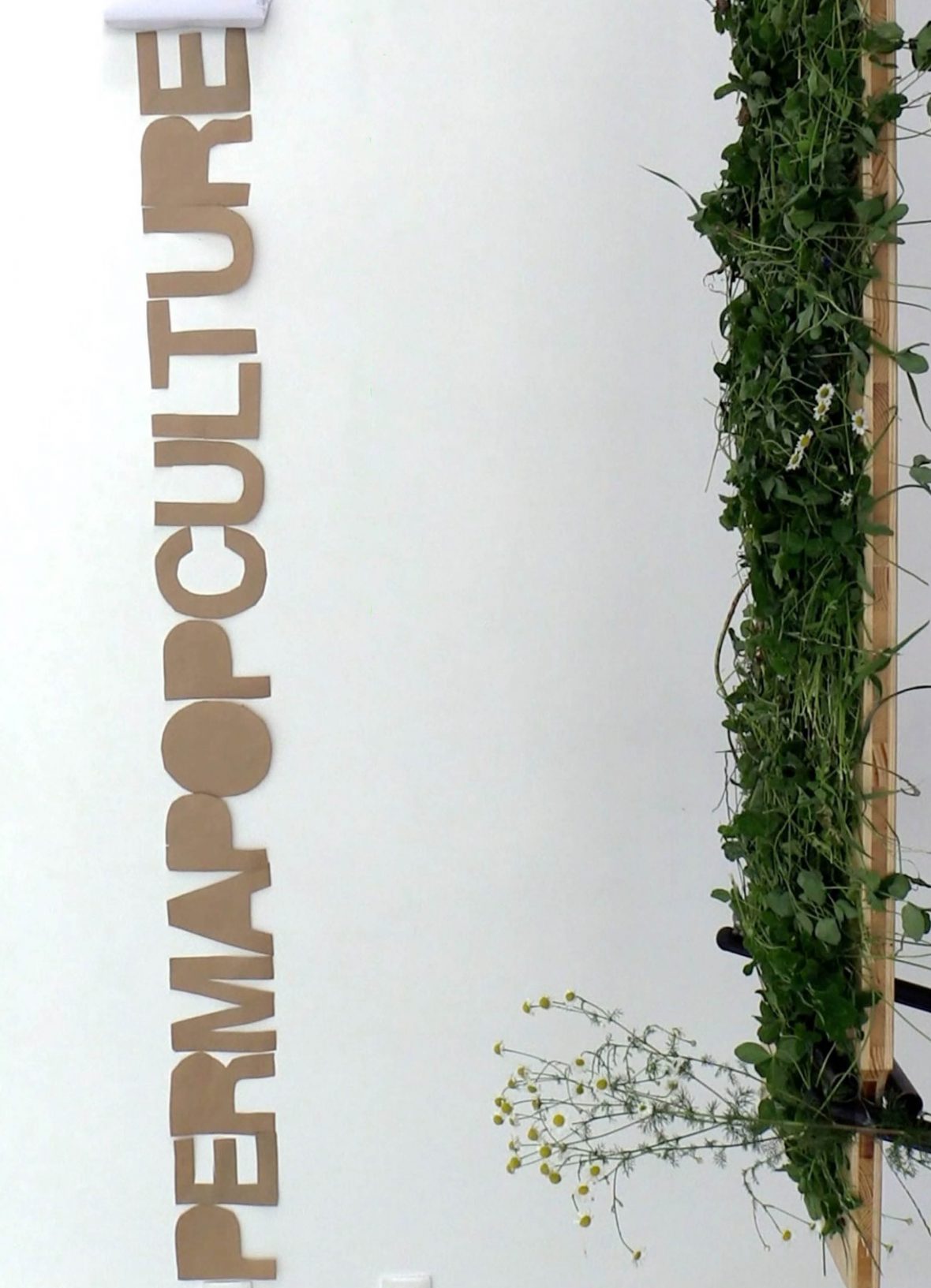 1ere page mediation perma